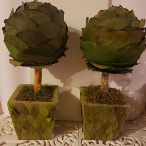 2 decorative plants for display